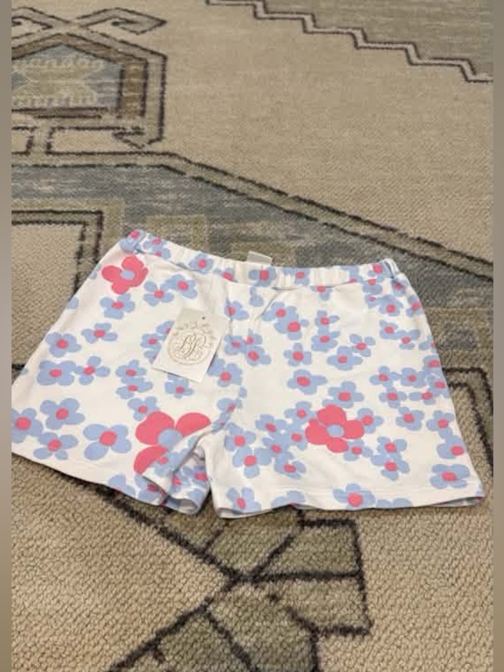 The Beaufort Bonnet company shorts
